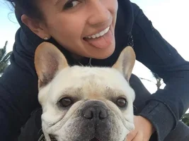 ~ENTER HERE~ March Frenchie of the Month contest "Frenchie Faces"