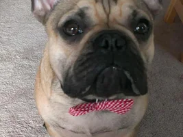 Hi -- here is Cheli