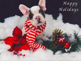 Tutorial:  How to Add a Photo to Your Post or Existing Post
