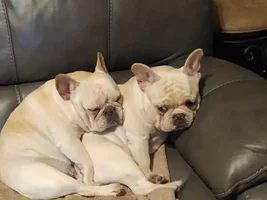Katie and Hazel