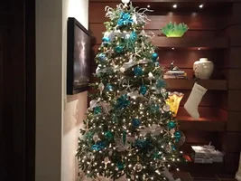 Let's see that tree!