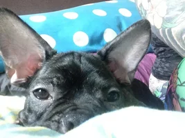 Hello out there!