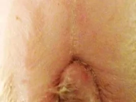Need Help, Please!