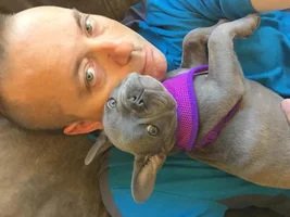 ~ENTER HERE~ Father's Day Frenchie of the Month Photo Contest