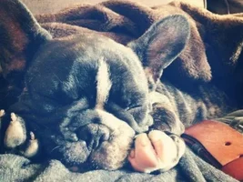 Tutorial:  How to Add a Photo to Your Post or Existing Post