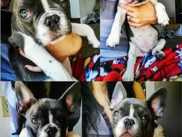update on charlie