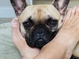 Foot Snuggle