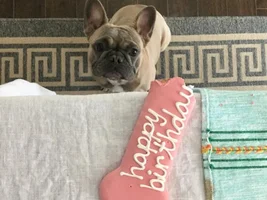 Maple Turned 1 Today