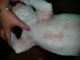 Please Help!