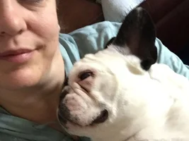 4 PAW MEMBERS!!!  Please VOTE for your favorite SMILING FRENCHIES!