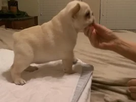 Long nose?