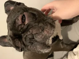 Swollen face