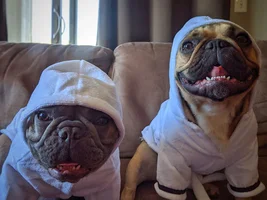 Drying off