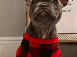 Yet another de-worming?!