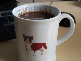 French Bulldog Clothes