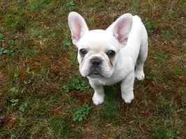 Welcome Silvie!