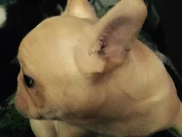 Hi!