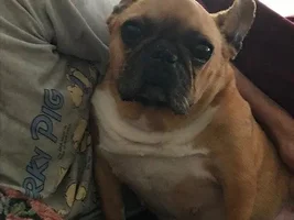 Nail trimming