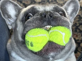What a mouth
