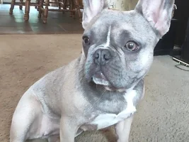 Hello!  We are new here!