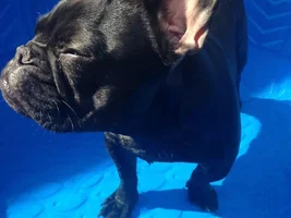 Ella in her baby pool