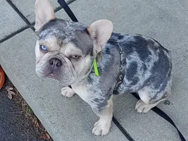 New to this group