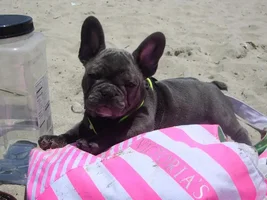 Summer Fun!!