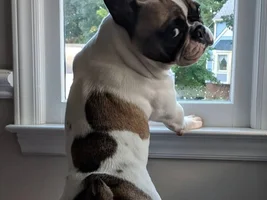 Hello from Virginia!