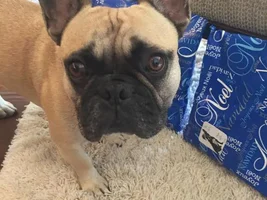 2015 Secret Santa Paws Sharing Thread