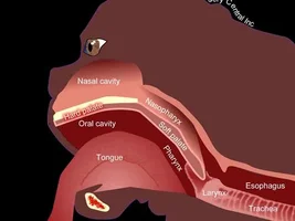 Breathing issues after surgery