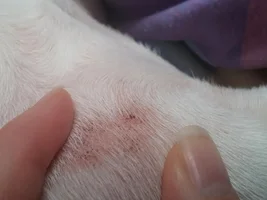 skin issues, don't know what to do