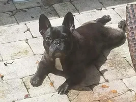 My girl Sofi getting her vitamin D!!