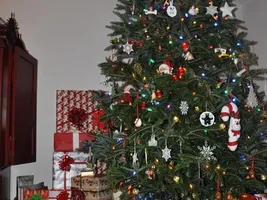 Christmas Photos