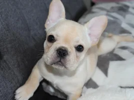 Strike a pose!