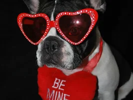 Wilson wishes everyone a Happy Valentines Day!