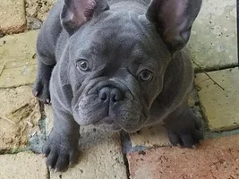 Hello all!!