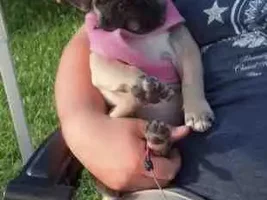 Let's post some puppy pictures!!