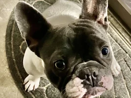 Hi all