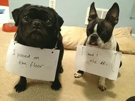 Just For Laughs....