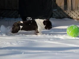Snow Soccer Wally style