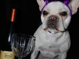 Happy New Year!!!