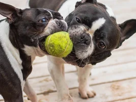 Play time!