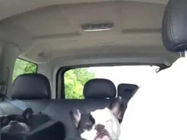 Zzzzzzzzzz