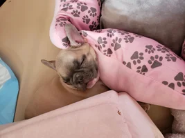 My Bella Baby's Sleeping Habits!