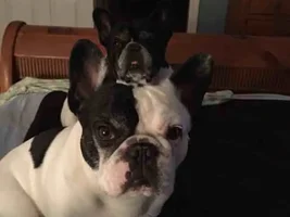 Cmon Mom!