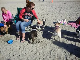 Frenchie Meet up group event this weekend Dec 1st