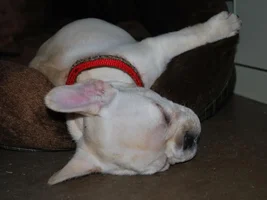 Sleeping positions........