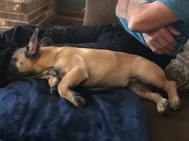 Nail trimming