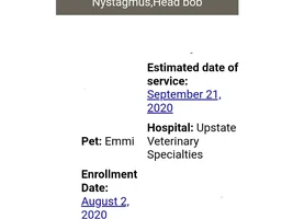 Best Pet Insurance?!