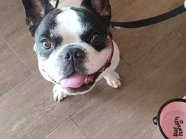 Help Cloe to walk again!